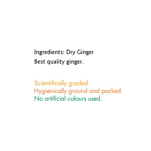 EVEREST Dry Ginger Powder 100 gm