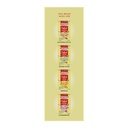 WEIKFIELD Custurd Vanilla Powder 500 gm