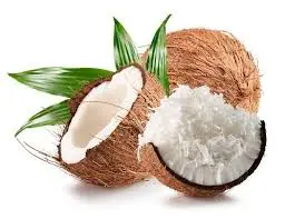 Frische Pooja Coconut 1 stück (aus Indien)