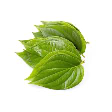 [FRISCHE Betel Leaves 1 stück] FRISCHE Betel Leaves 1 stück