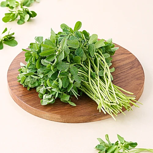 [FRISCHE Methi 1 Bund (aus Indien)] FRISCHE Methi 1 Bund (aus Indien)