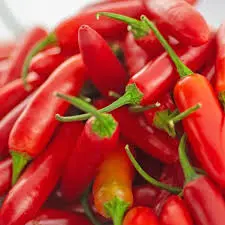 [FRISCHE Red Chilli 1 kg] FRISCHE Red Chilli 1 kg