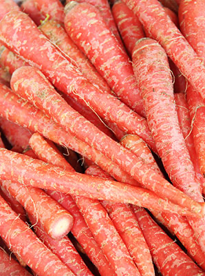 [FRISCHE Rote Karotten 1 kg] FRISCHE Rote Karotten 1 kg
