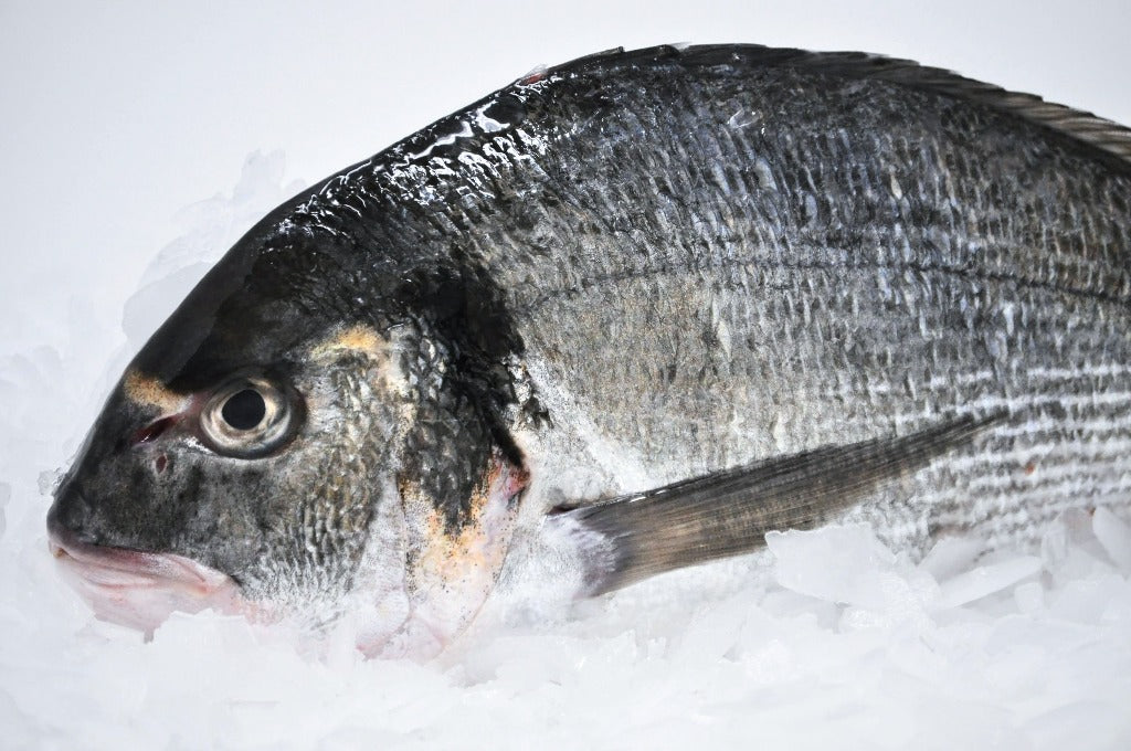SEA BREAM (Dorade) 400-600 Gr. G&S IQF 1 kg