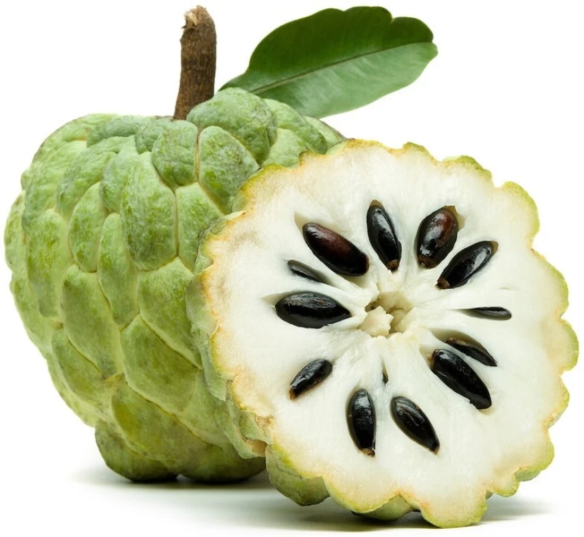 [FRISCHE Sitafal 1 kg] FRISCHE Sitafal 1 kg