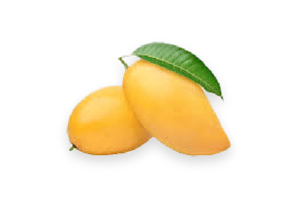 FRISCHE Indian Kesar Mango 1 kg (aus Indien)