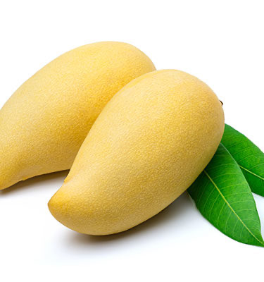 Frische Indian Kesar Mango 1 kg (aus Indien)