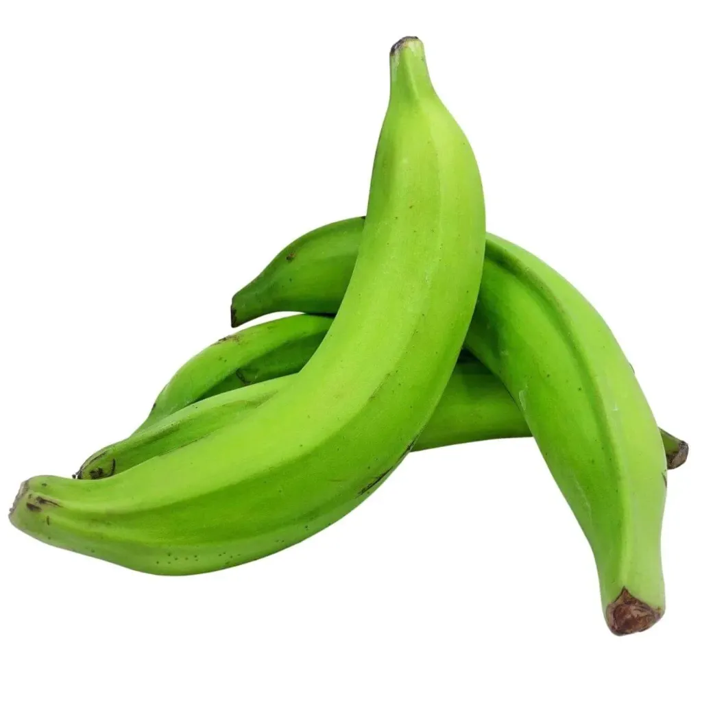 [FRISCHE Green Plantain 1 kg (aus Ecuador)] FRISCHE Green Plantain 1 kg (aus Ecuador)