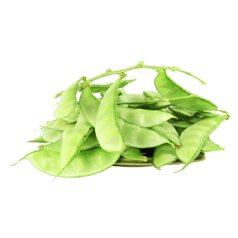 [FRISCHE Papri 1 kg (aus Indien)] FRISCHE Papri 1 kg (aus Indien)