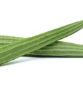 FRISCHE Turia 1 kg (aus Indien)