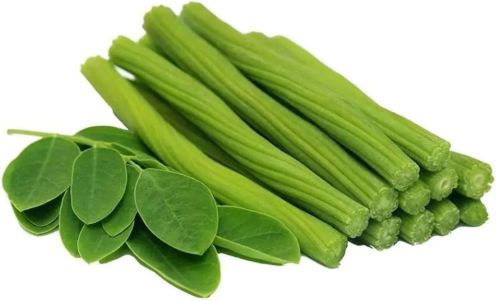 [FRISCHE Drumstick 1 kg (aus Indien)] FRISCHE Drumstick 1 kg (aus Indien)