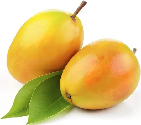 FRISCHE Alphanso Mango 1 kg (aus Indien)