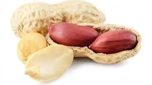 Frische Erdnüsse 1 kg (aus Indien)