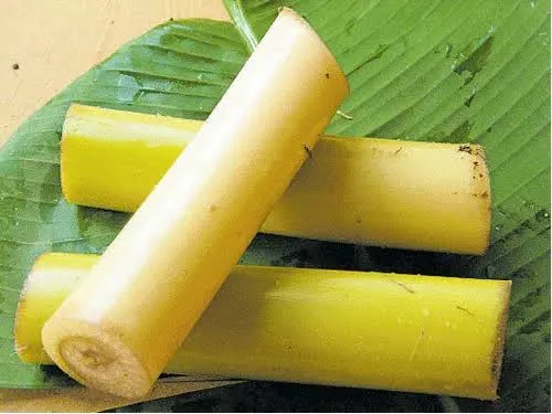 [FRISCHE Banana Stem 1 kg (aus Indien)] FRISCHE Banana Stem 1 kg (aus Indien)