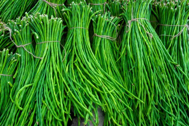 Frische Long Beans 1 kg (aus Indien)