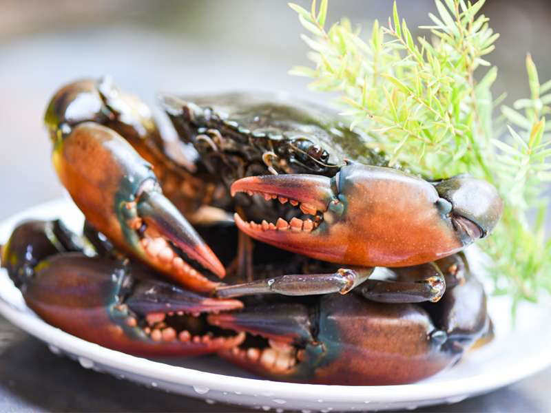 CRAB Whole 1 kg