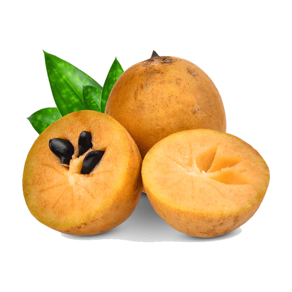 Frische Chicoo 1 kg