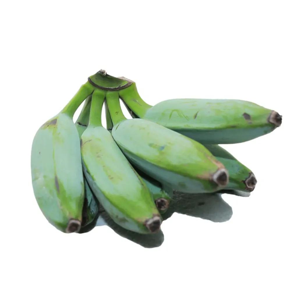 [FRISCHE Ash Plantain 1 kg (aus Indien)] FRISCHE Ash Plantain 1 kg (aus Indien)