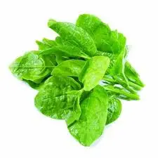 [FRISCHE Poi Saag 1 kg (aus Bangladesh)] FRISCHE Poi Saag 1 kg (aus Bangladesh)