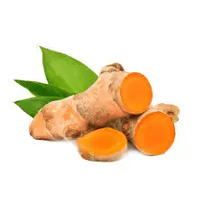 Frische Kurkuma 1 kg (aus Indien)