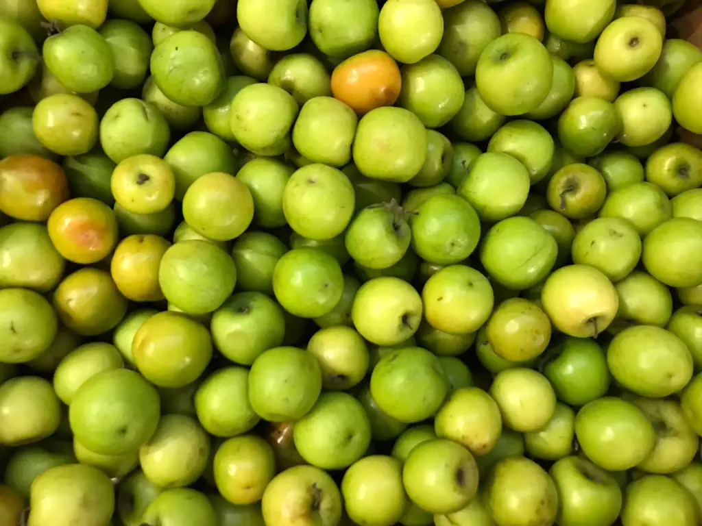 FRISCHE Boroi 1 Kg (aus Bangladesh)