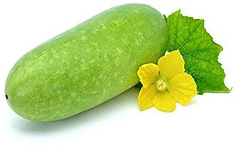[FRISCHE Lau 1 kg (aus Bangladesh)] FRISCHE Lau 1 kg (aus Bangladesh)