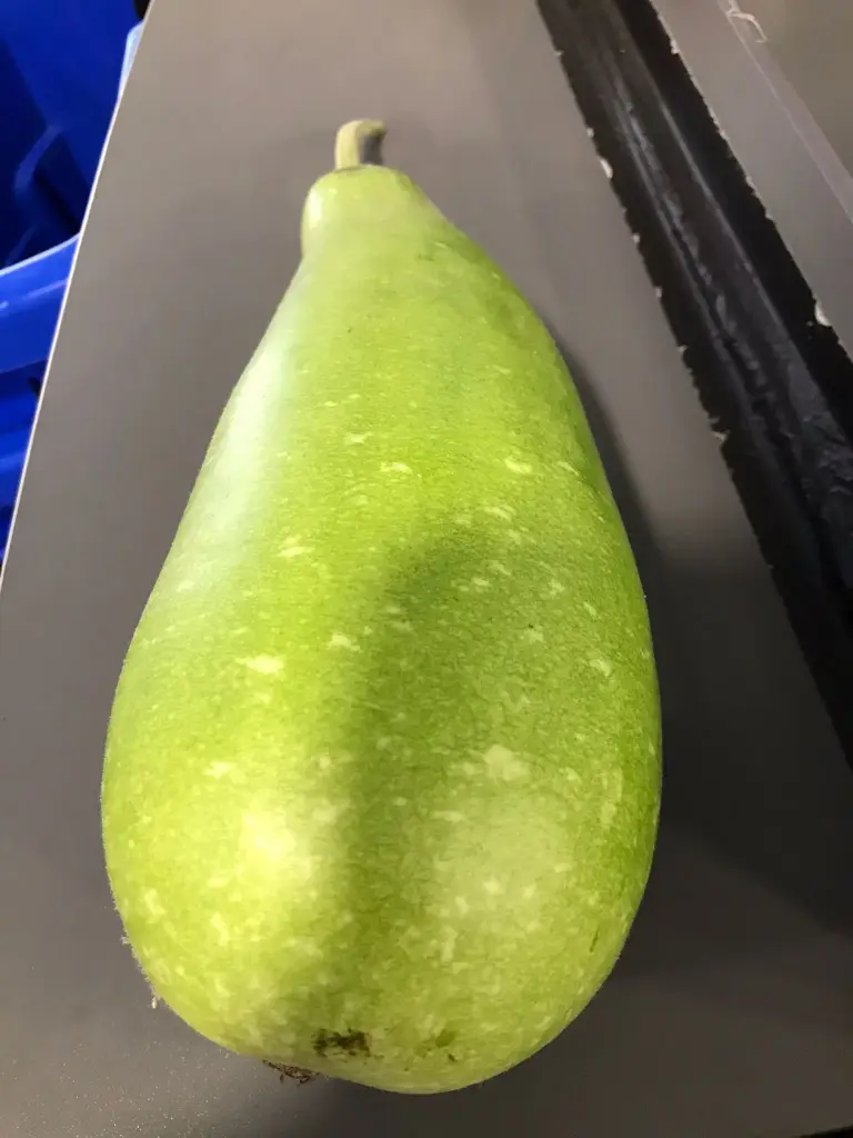 FRISCHE Lau 1 kg (aus Bangladesh)