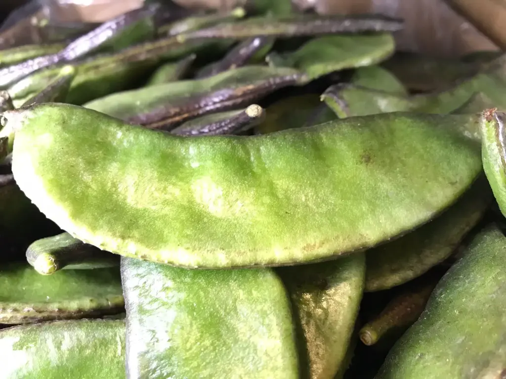 [FRISCHE Seem 1 kg (aus Bangladesh)] FRISCHE Seem 1 kg (aus Bangladesh)