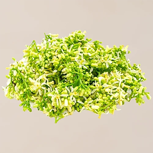 FRISCHE Neem Flower 1 kg