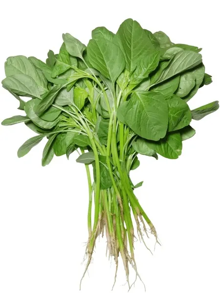 [FRISCHE Data Saag 1kg (aus Bangladesh)] FRISCHE Data Saag 1kg (aus Bangladesh)