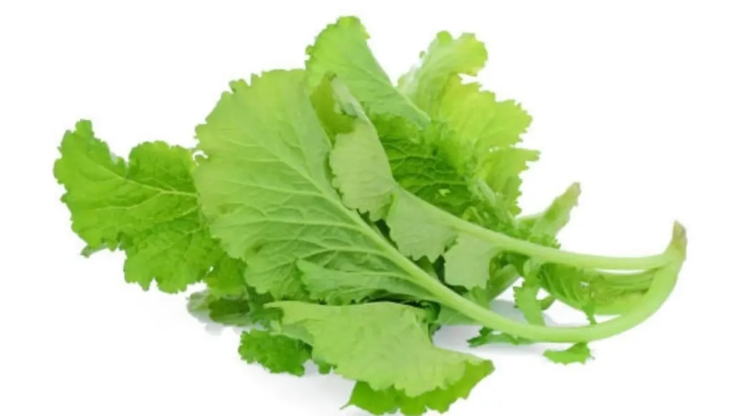 [FRISCHE Kodu Saag 1kg (aus Bangladesh)] FRISCHE Kodu Saag 1kg (aus Bangladesh)