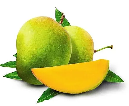 FRISCHE Mango Himsagar 1 kg