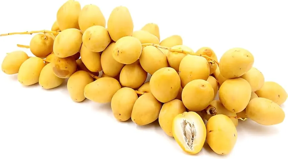 FRISCHE Yellow Dates 1 kg (aus Indien)