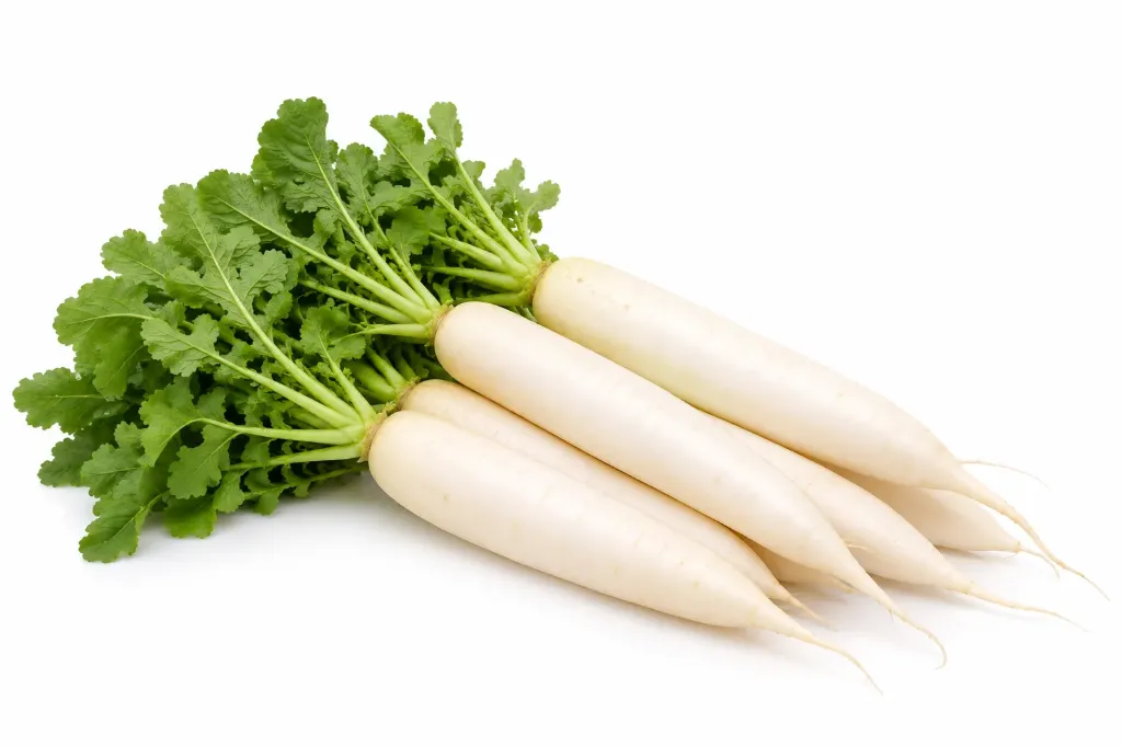 FRISCHE Muli 1 KG