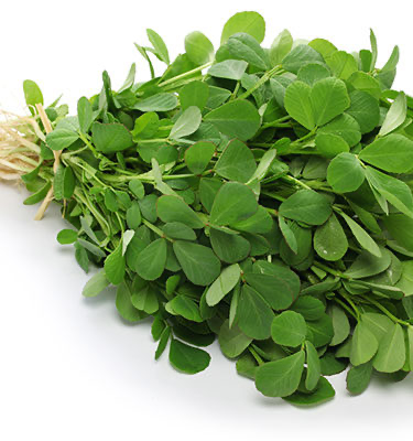 Frische Methi