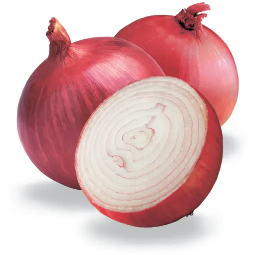 FRISCHE Red Onion 1 kg (aus Indien)