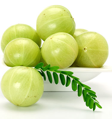Frische Amla 1 kg (aus Indien)