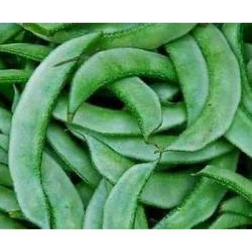 Frische Papri 1kg (aus Indien)