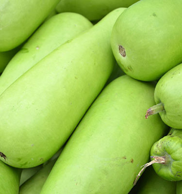 FRISCHE Lauki 1 kg (aus Indien)