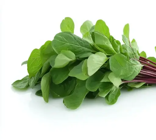 Frische Gongura Leaves 1 Bund (aus Indien)