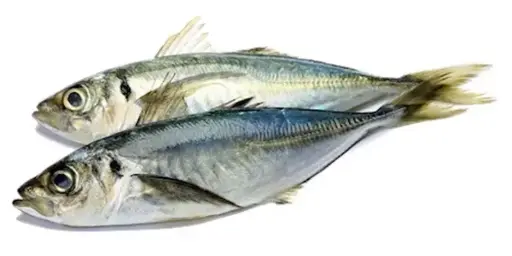 SUGARELLO Whole 500gm/900gm 