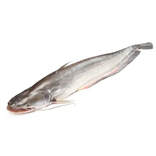 BOAL-G (Wallogo Attu) 1 kg+