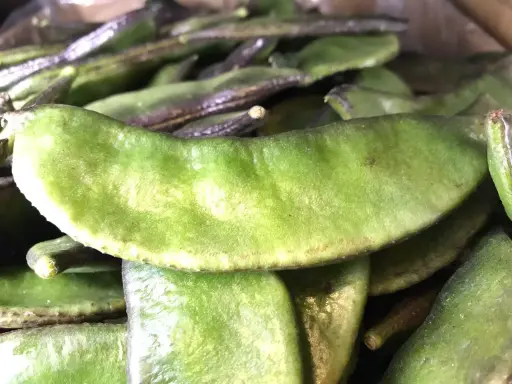 Frische Seem 1 kg (aus Bangladesh)